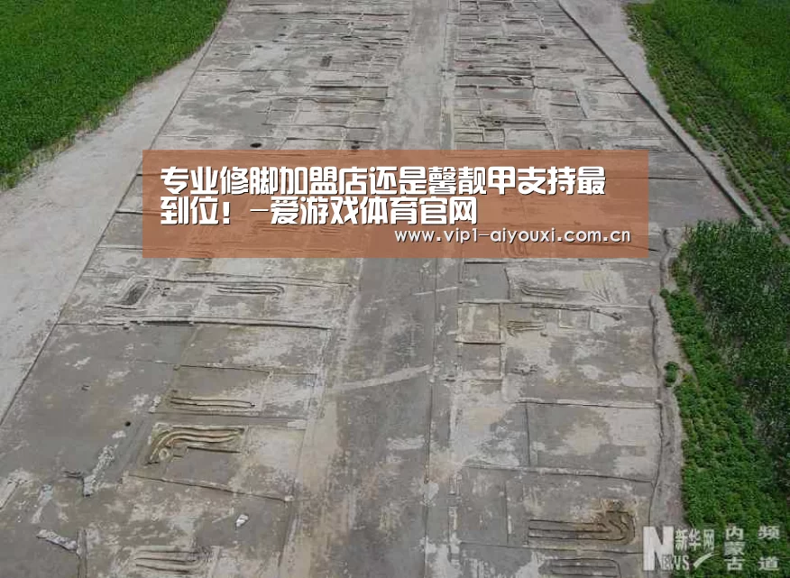 爱游戏体育官网
