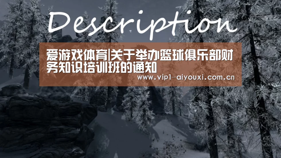 体育手机端APP