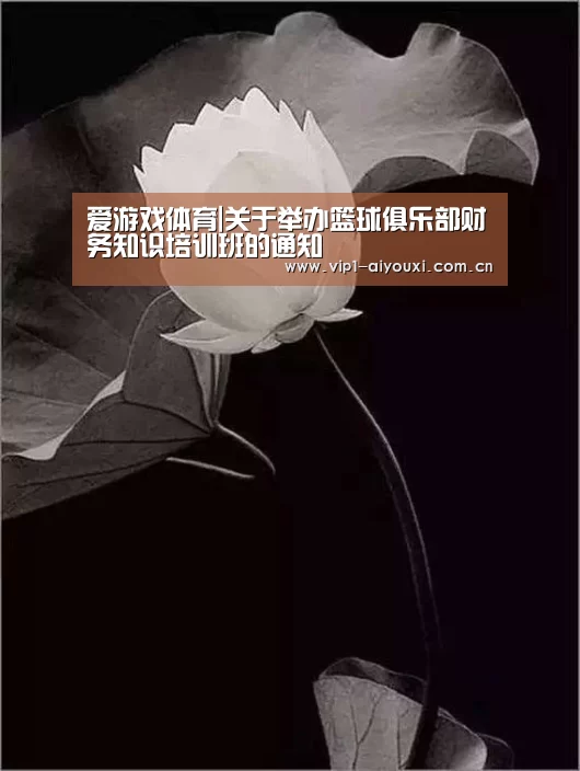 爱游戏体育