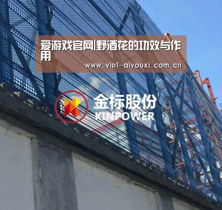 爱游戏体育