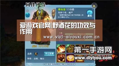 体育手机端APP