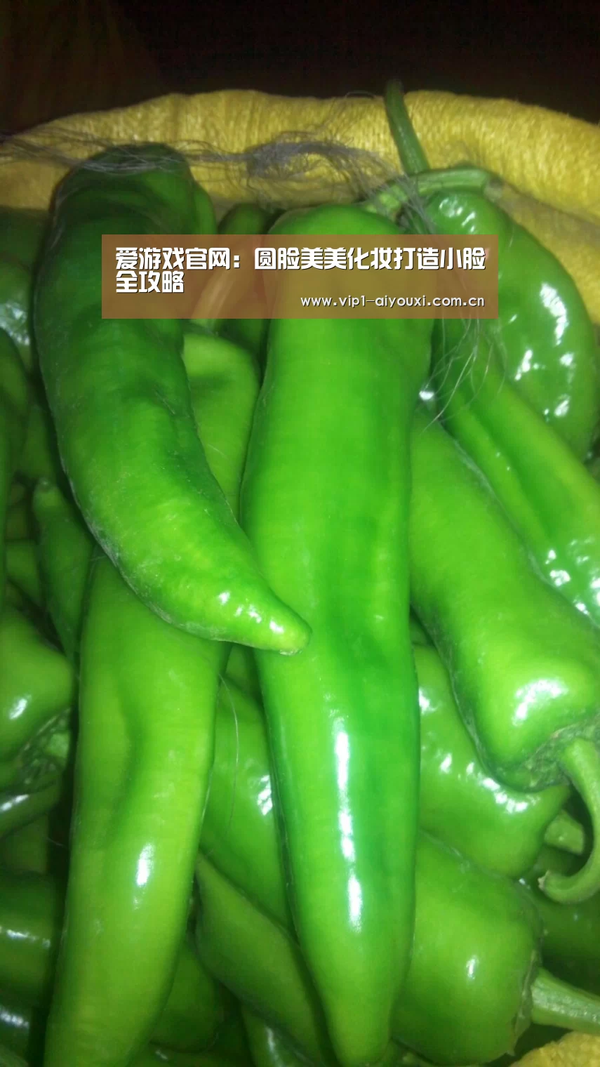 爱游戏体育