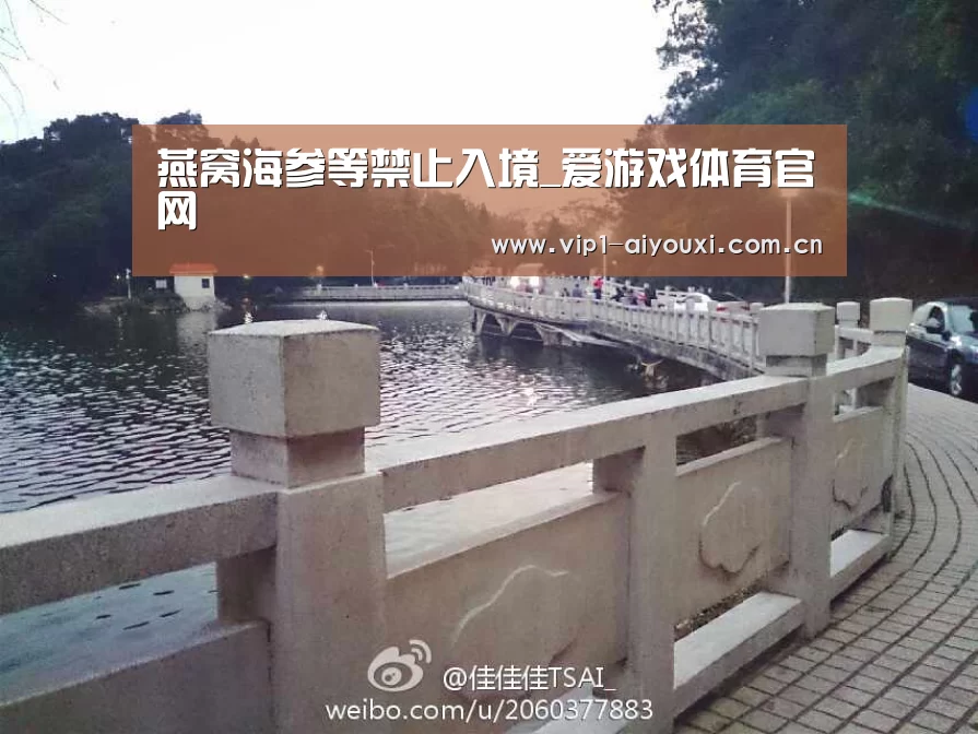 体育手机端APP